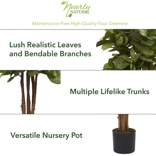 5ft. Potted Fiddle Leaf Fig Tree